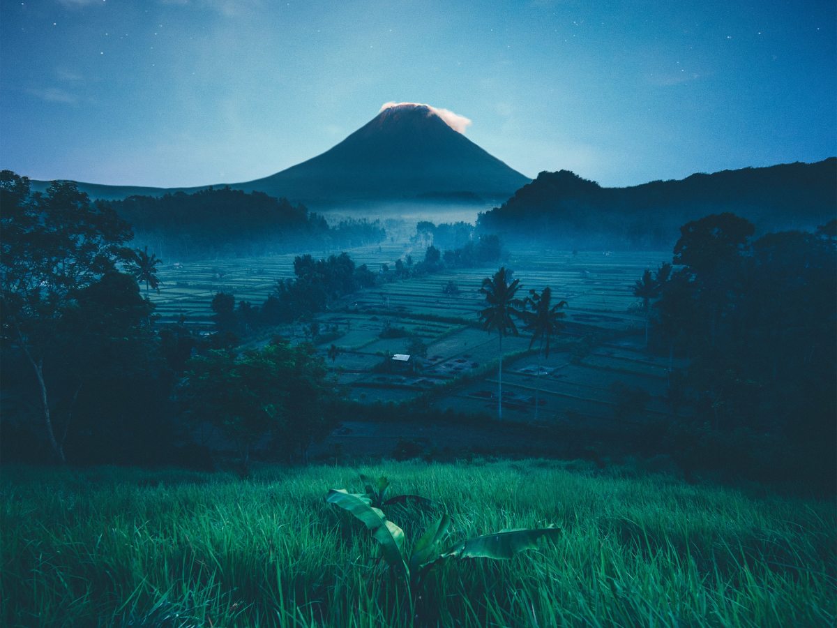 What is “Forever Chasing&nbsp;Better”?